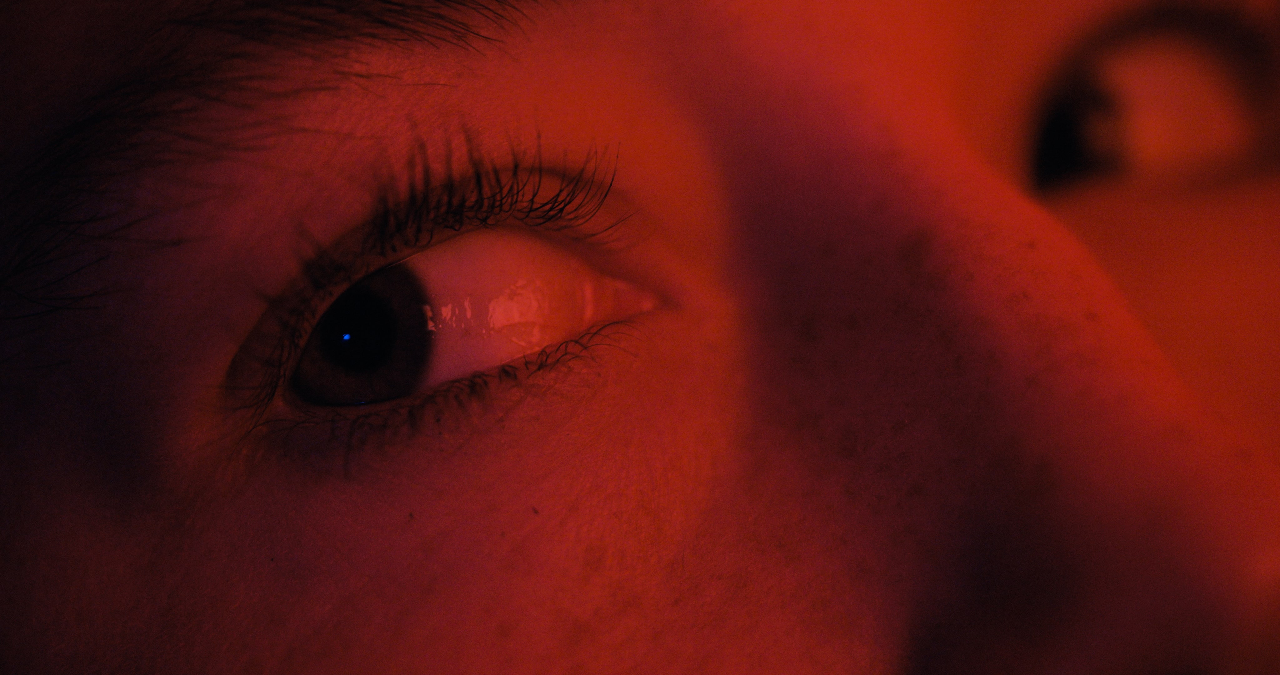 Der Panther – Szene 7