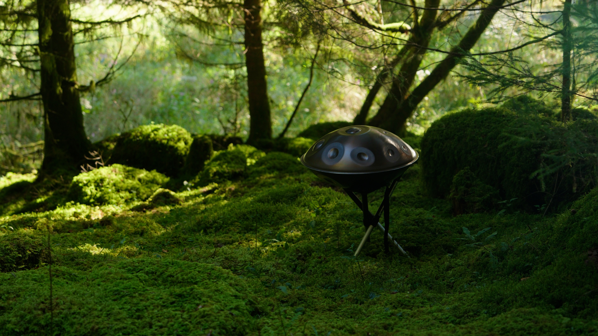 Harmonia. – Szene 13