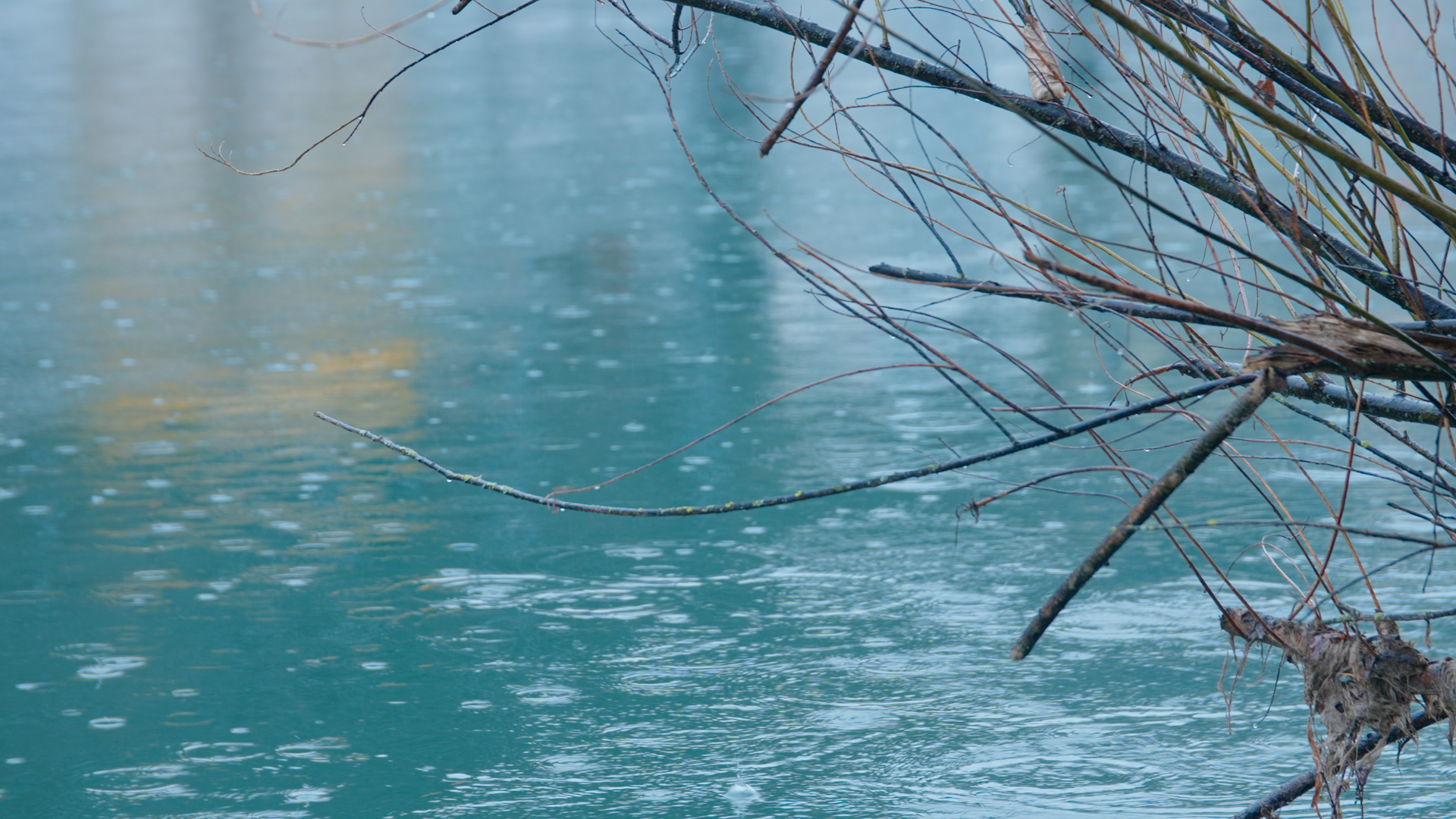 Harmonia. – Szene 7